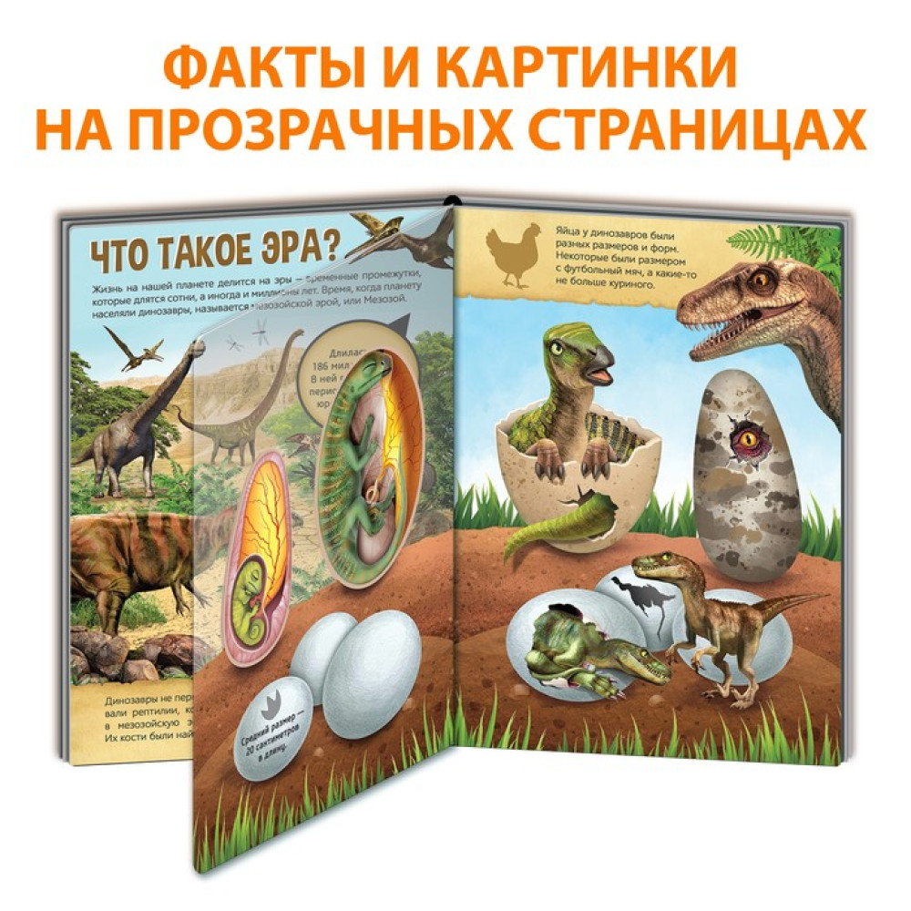 Книга с прозрачными страницами «Эра динозавров», 32 стр. - фото3