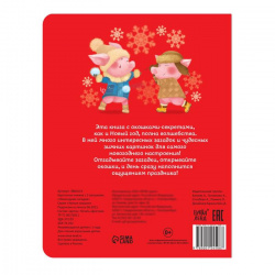 Книжка картонная с окошками «Новогодние загадки», 10 стр. - фото4